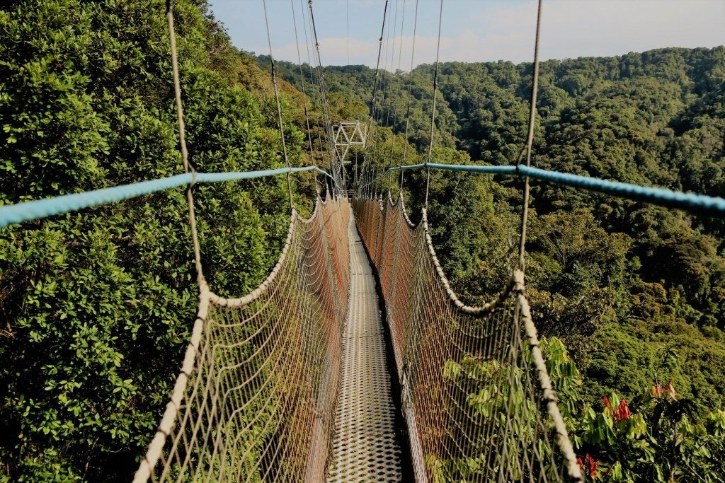 Nyungwe Forest National Park