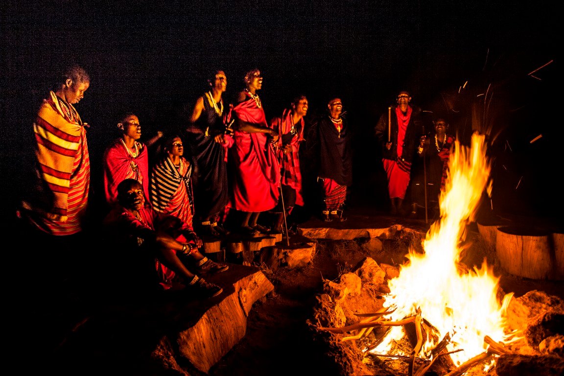 Ngamba Island Chimpanzees
