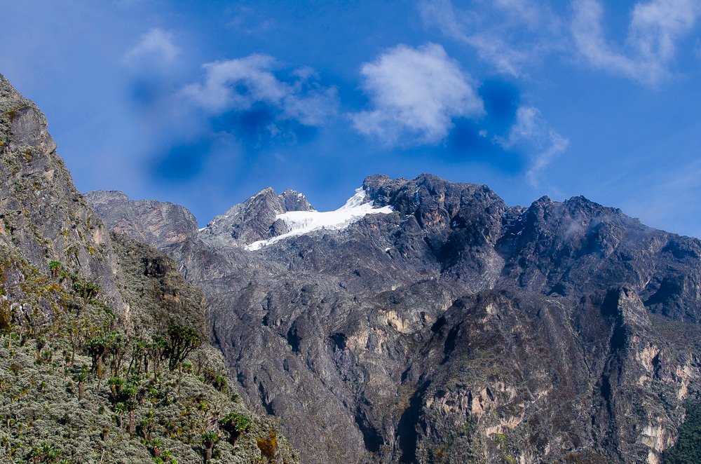 Rwenzori Mountains National Park