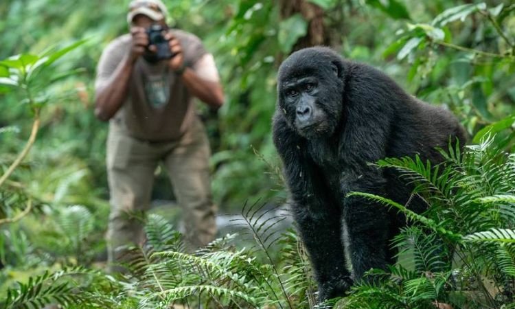 uganda-gorilla-tracking-duration