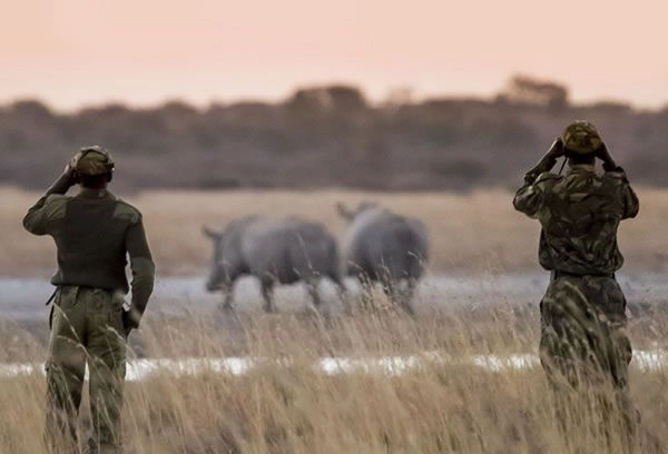 how-game-rangers-track-wildlife-during-safaris