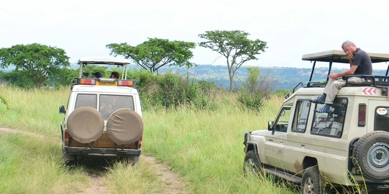 game-drives-in-akagera-national-park-complete-safari-guide