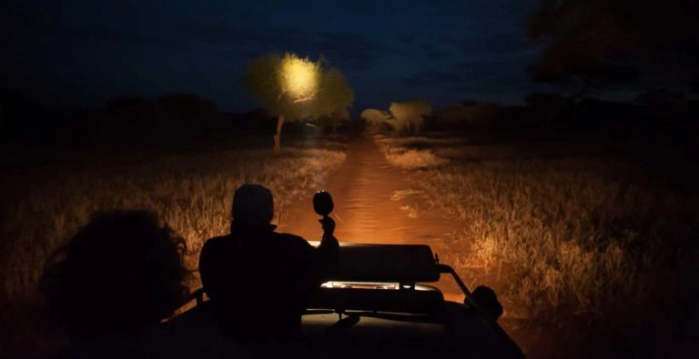 night-game-drives-in-uganda-what-makes-them-special