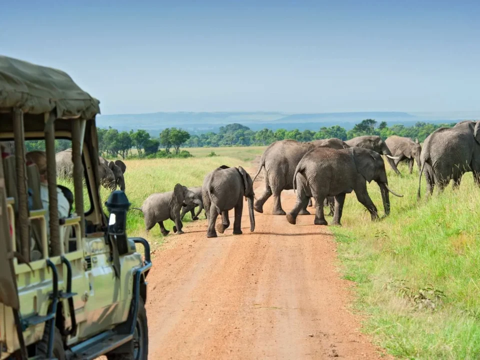 sustainable-tourism-in-uganda-rwanda-safaris