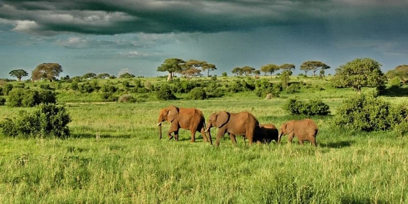 7-things-you-must-know-before-visiting-uganda-or-rwanda