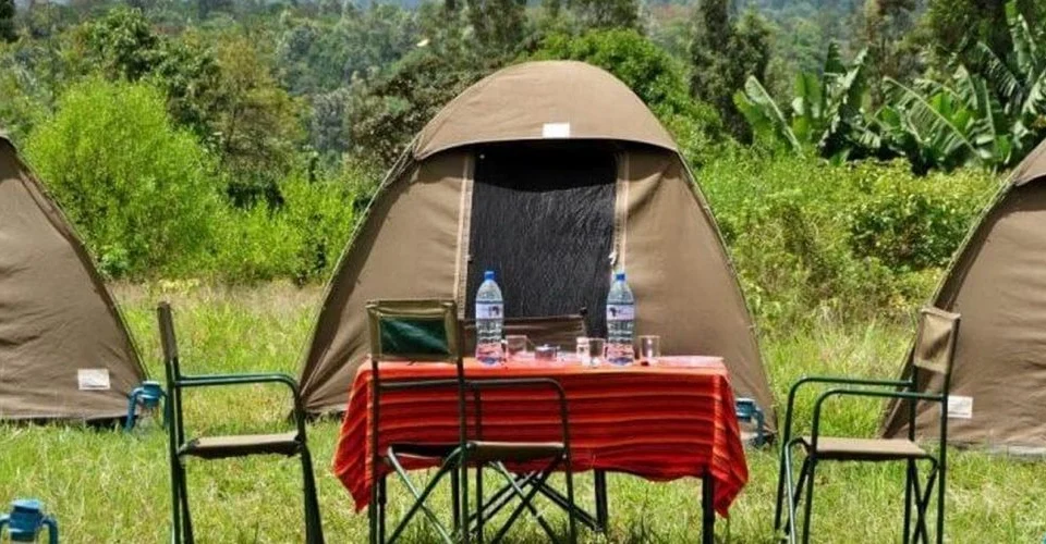 budget-safari-packages-for-uganda