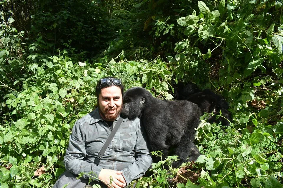 solo-travelers-guide-to-gorilla-trekking-uganda