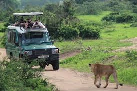gorilla-trekking-and-queen-elizabeth-safari