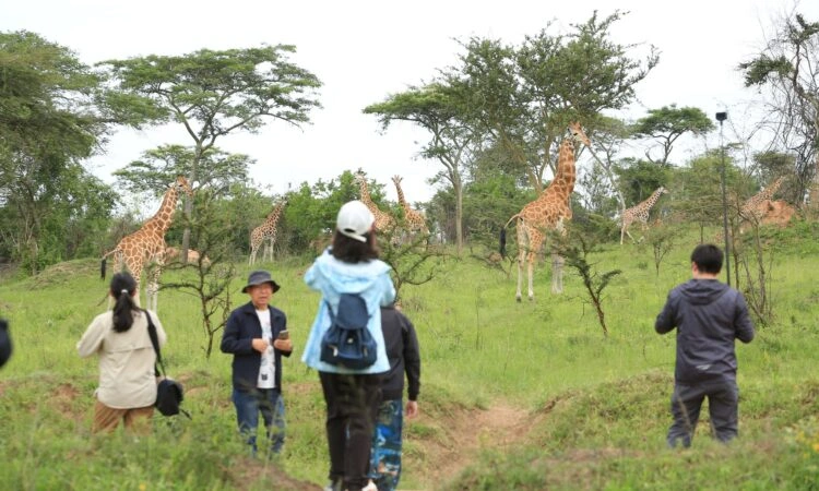 walking-safaris-in-lake-mburo-national-park