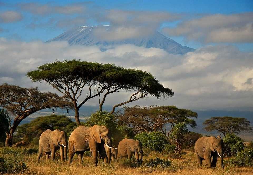 best-national-parks-to-visit-in-kenya