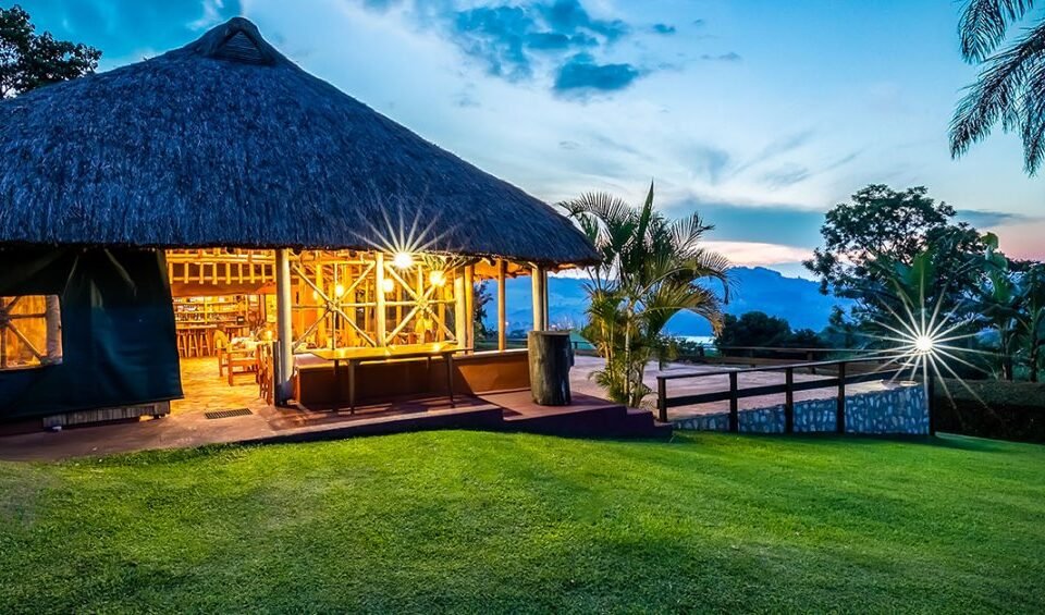 booking-a-hotel-in-kibale-national-park-for-chimps-tracking