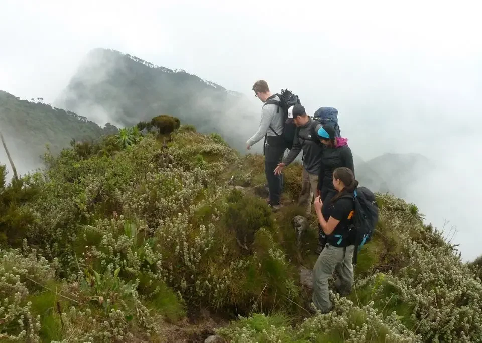 hiking-mount-muhabura
