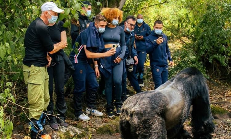 gorilla-trekking-age-limit-in-uganda