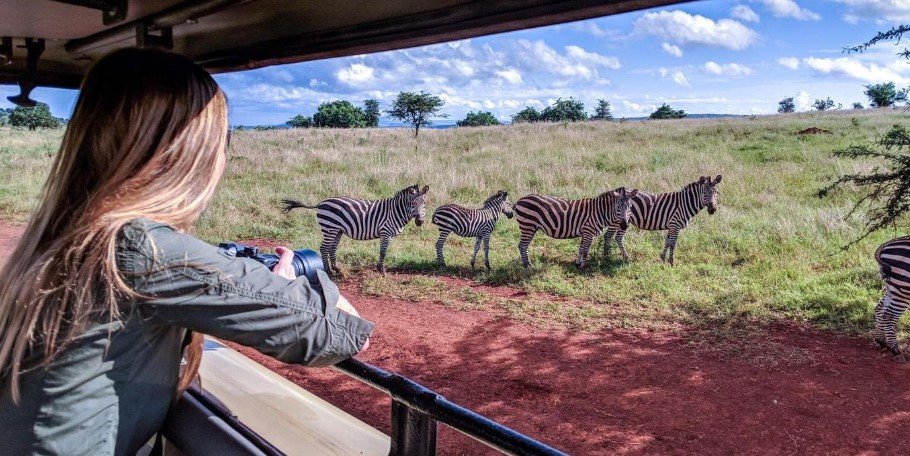 what-to-expect-on-game-drive-in-akagera-national-park