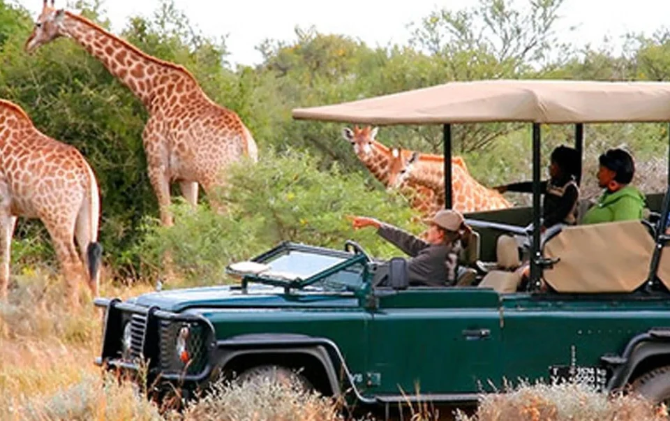 combine-queen-elizabeth-and-akagera-park-safaris