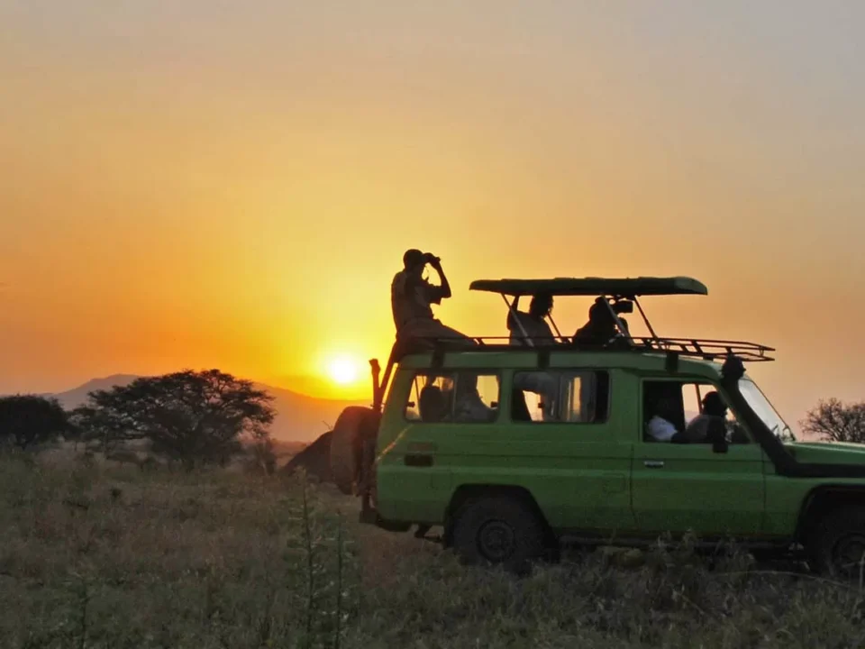 how-long-should-a-safari-game-drive-be