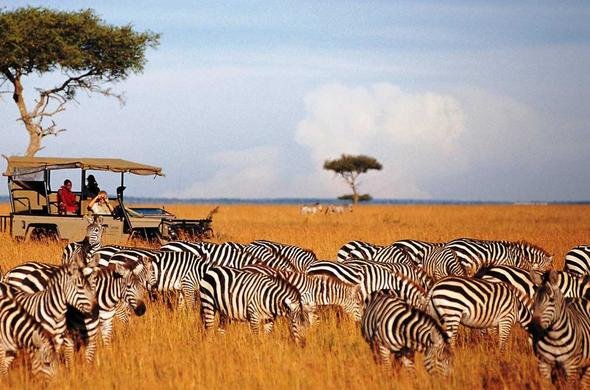 masai-mara-safari-guide-for-first-time-visitors