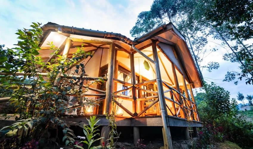 best-hotels-for-gorilla-trekking-in-bwindi