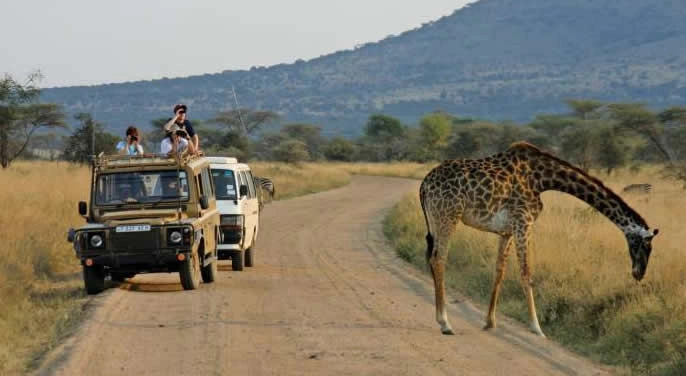 murchison-falls-game-safari