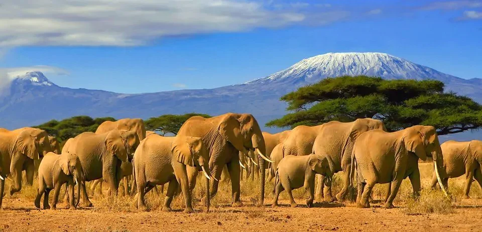 amboseli-national-park-safari-packages