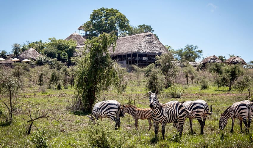 community-tours-near-kidepo