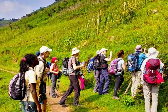 hiking-excursions-in-bwindi