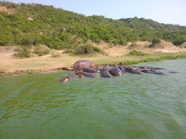kazinga-channel-with-game-drive-combination