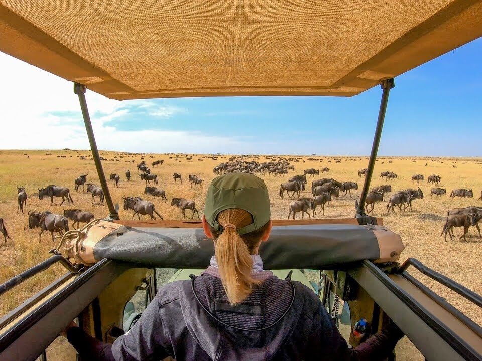 budget-great-migration-tours
