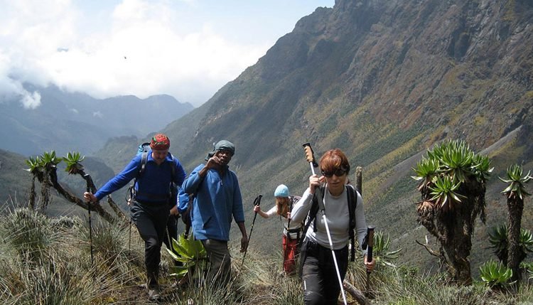 queen-elizabeth-with-rwenzori-mountains